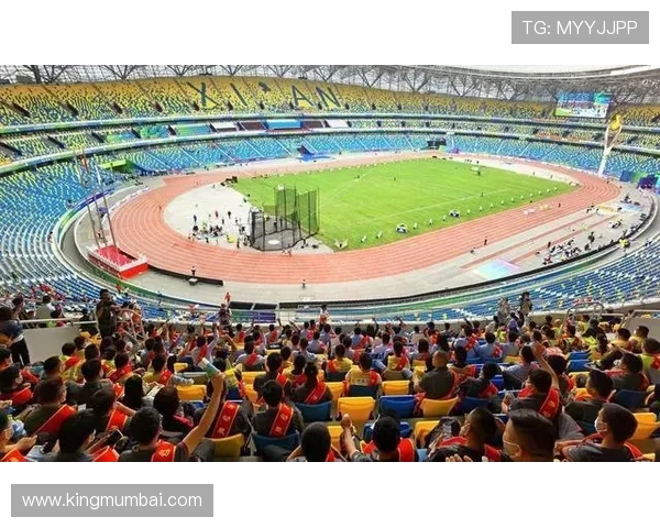 深度解析星空体育电子下载，如何让你的观赛体验更具沉浸感