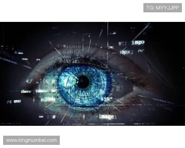 星空体育app官方用户评价与常见问题解决方案