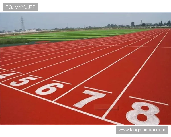 乐动体育app官网支持哪些体育项目和比赛类型详细分析