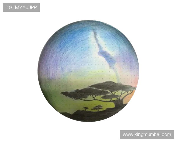 星空体育官方旗舰店2026最新运动装备专题打折优惠指南