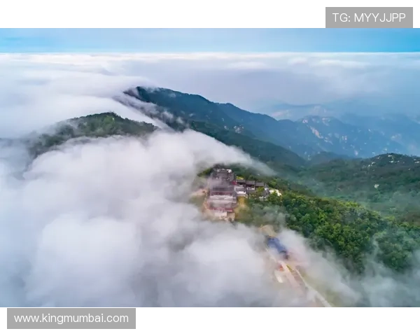 星空官方网页版全面介绍使用指南和最佳体验方法