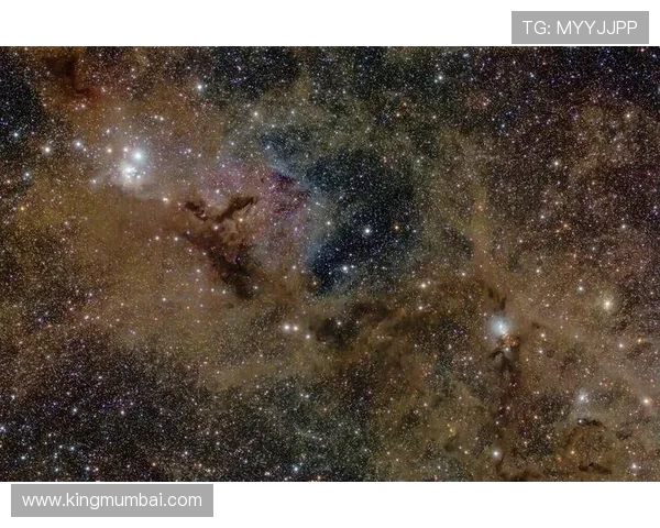 星空手机版带你领略夜空的神秘魅力，随时随地探索星辰奥秘